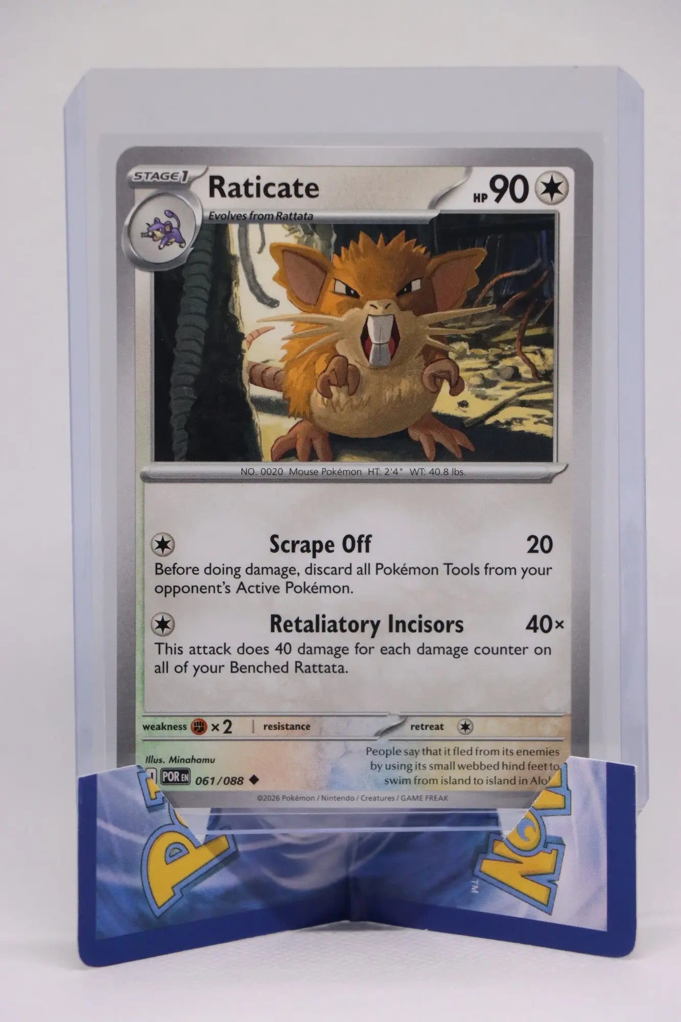Raticate 061/088 - Mega Evolution Perfect Order Pack Fresh Pokémon TCG