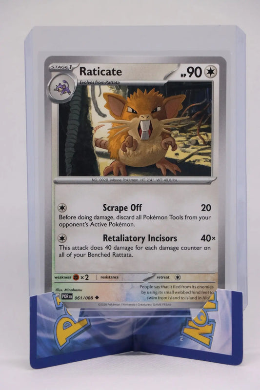 Raticate 061/088 - Mega Evolution Perfect Order Pack Fresh Pokémon TCG