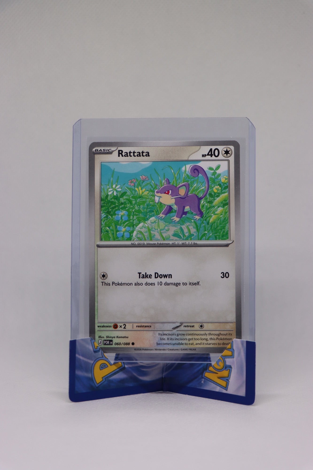 Rattata 060/088 | Mega Evolution - Perfect Order Pokémon