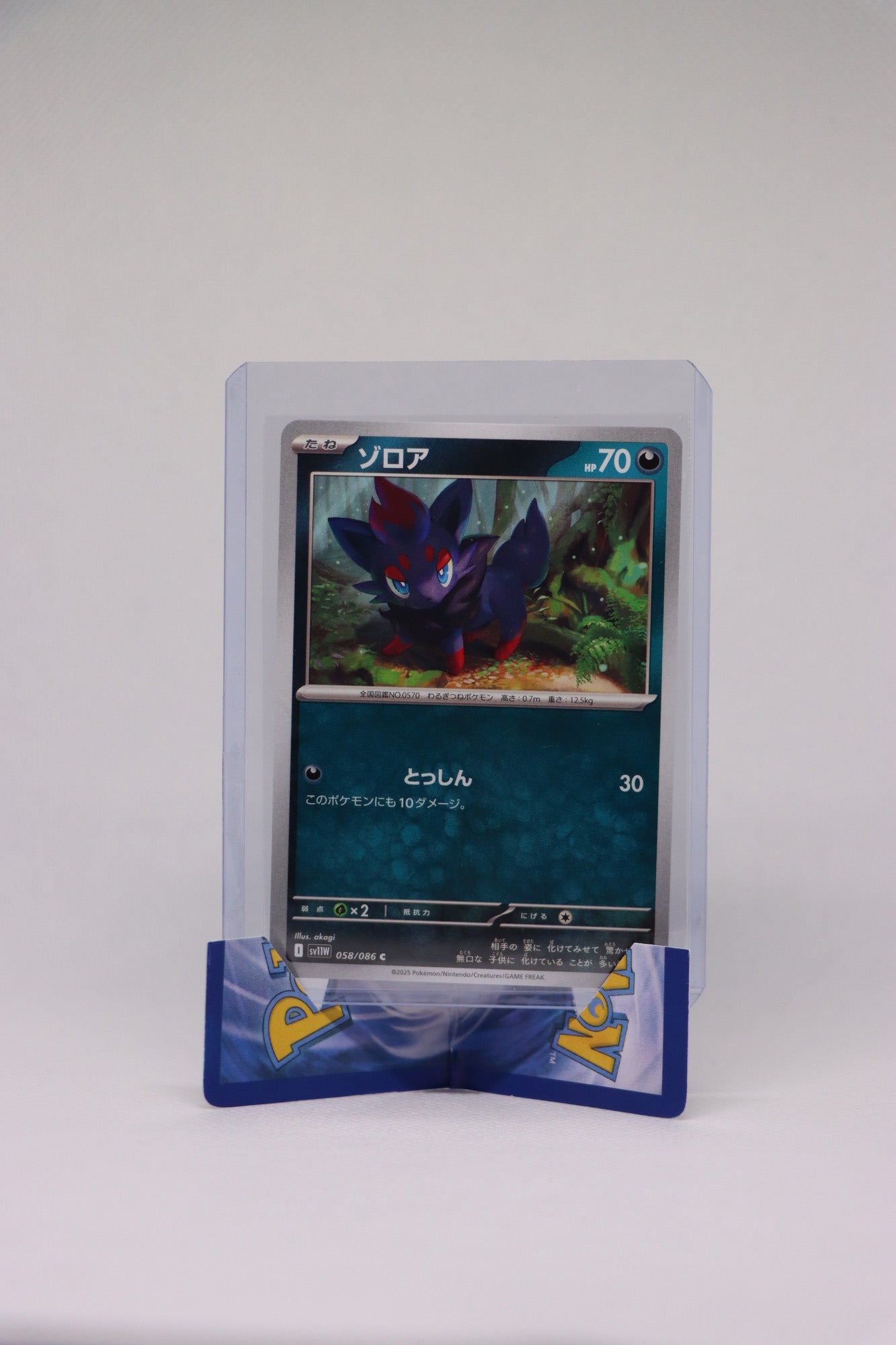 Zorua 058/086 C - Japanese White Flare (sv11W) Pokémon