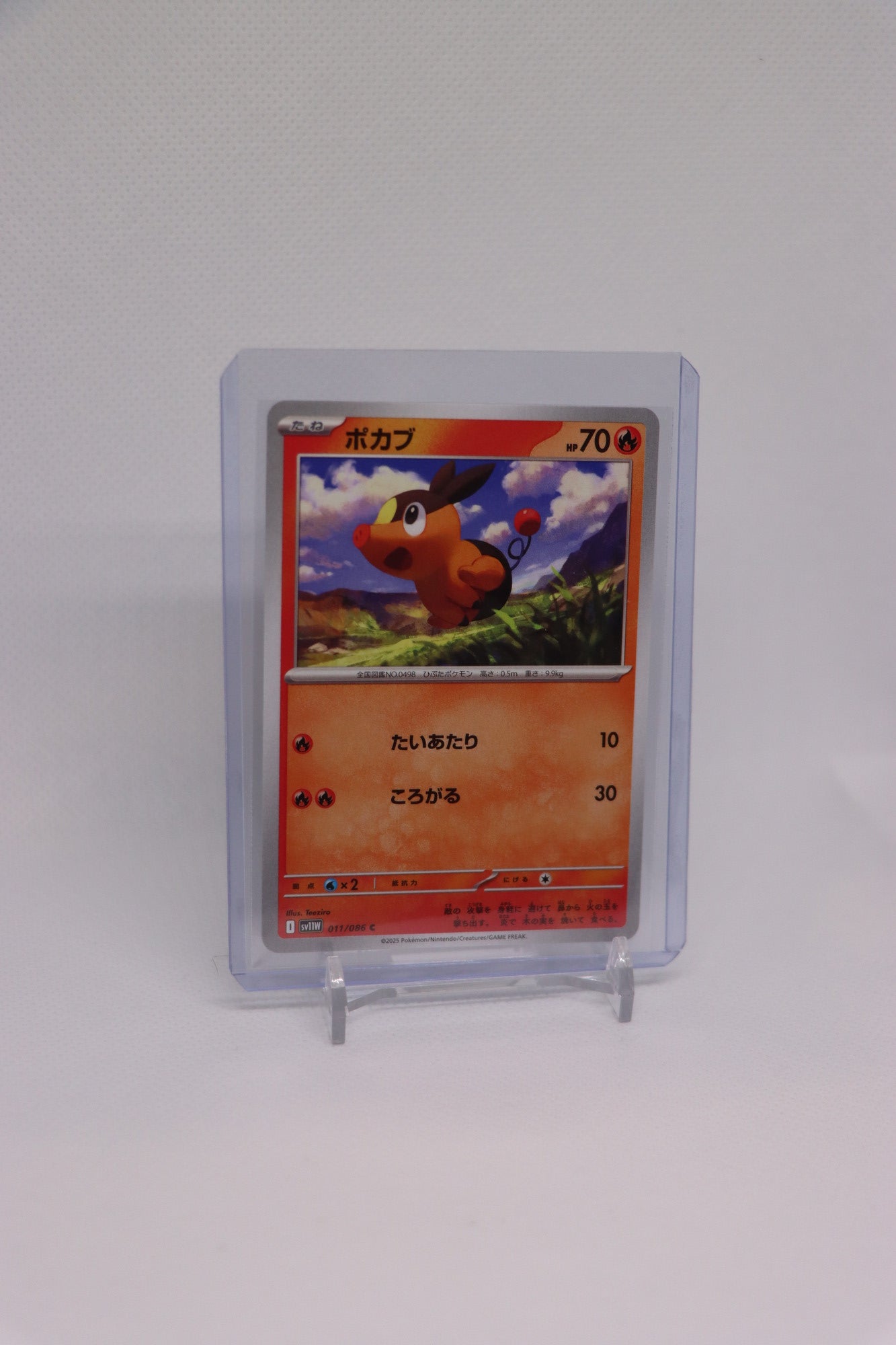 Tepig 011/086 Common Japanese White Flare (白熱のアルカナ) | Near Mint Condition